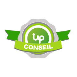 logo conseil waysup